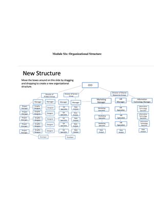 Module 6 Assignment Module Six Assignment Organizational Structure