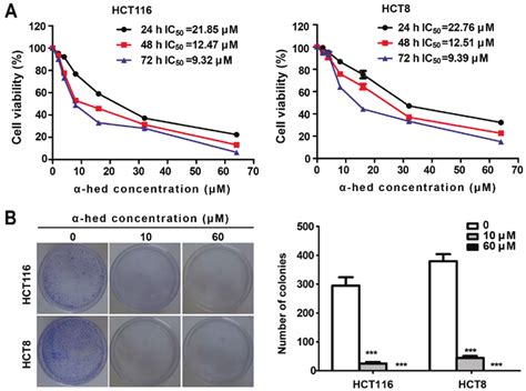 Hederin Inhibits Colorectal Cancer Cell Proliferation A Hederin