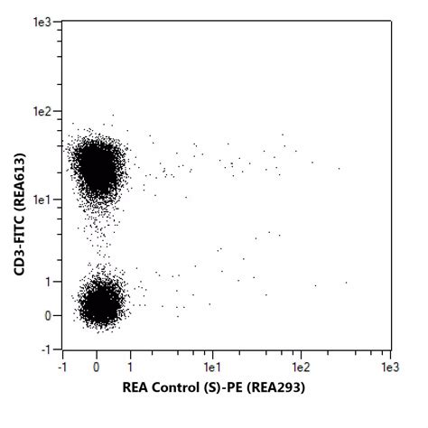 CD272 BTLA Antibody Anti Human REAfinity Miltenyi Biotec USA