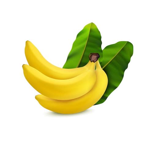 Bando De Bananas Amarelas Maduras Composi O Realista De Folhas