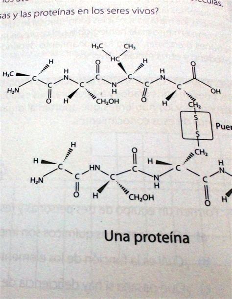 Solved Identifica Y Escribe El Nombre El Nombre De Cada Uno De Los Atomos Que Forman Las