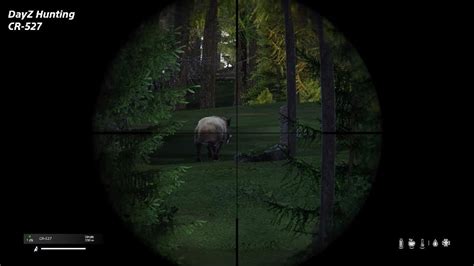 DayZ Hunting Boar W CR 527 YouTube