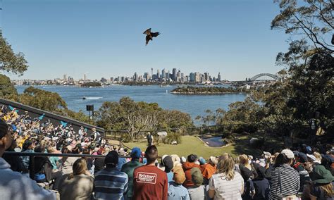 Taronga Zoo Sydney General Admission Tickets, Australia | Activities in ...