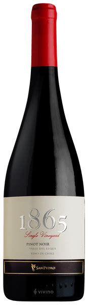 San Pedro 1865 Single Vineyard Pinot Noir Vivino Us