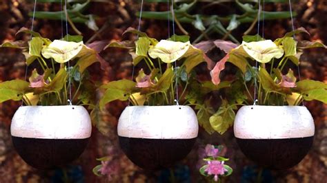 How To Make Beautiful Coconut Shell Hanging Planter Easy Pot Making