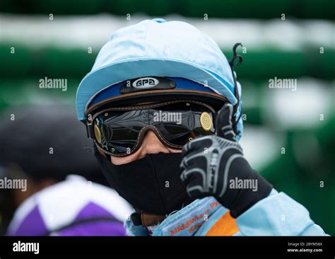 Napoleons pferd Fotos und Bildmaterial in hoher Auflösung Alamy