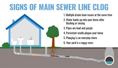 What To Do When You Have A Clogged Sewer Line Cme