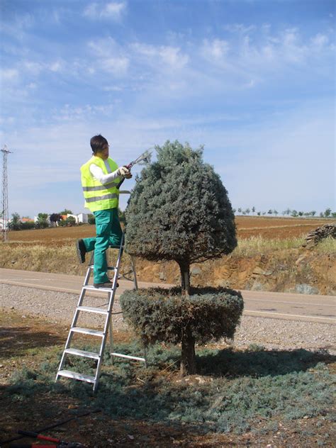 Taller De Empleo Hornachuelos Trabajos De Jardiner A En Palomas Y