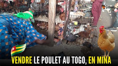 TOGO J 4 COMMENT VENDRE le POULET GOLIATH au TOGO Ahépé préf YOTO