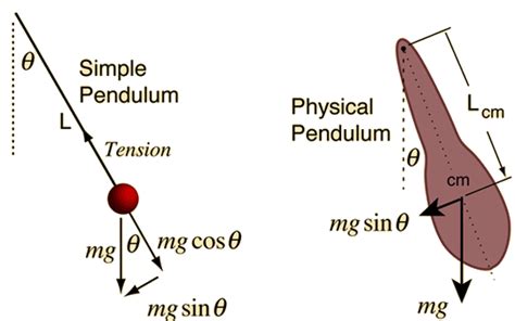 Calculadora De P Ndulo Simple Aprende C Mo Calcular El Periodo De Un