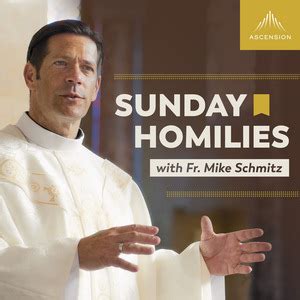 Sunday Homilies with Fr. Mike Schmitz: 10/06/24 Marriage: A Catholic Vision