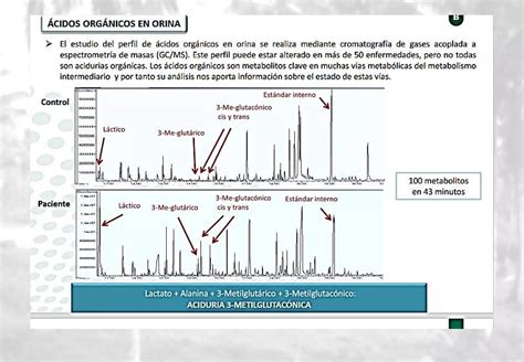 Cap Glucolisis Ppt