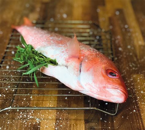 Smoked Vermilion Snapper Edible Houston