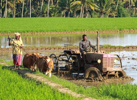 Mengapa Kita Harus Menghormati Dan Menghargai Perbedaan Jenis Pekerjaan