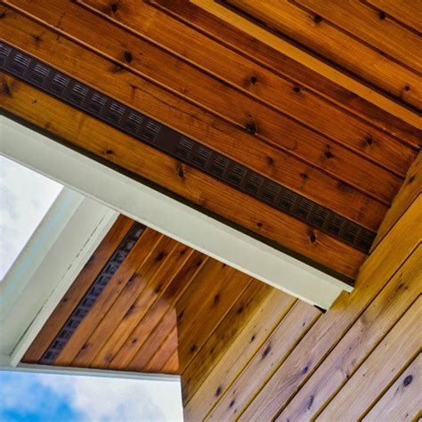 Cedar Stained Soffits With Rainscreen Accents Transitional Exterior