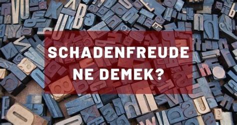 Schadenfreude Ne Demek Evirisi Ve Tdk Anlam Nedir Schadenfreude