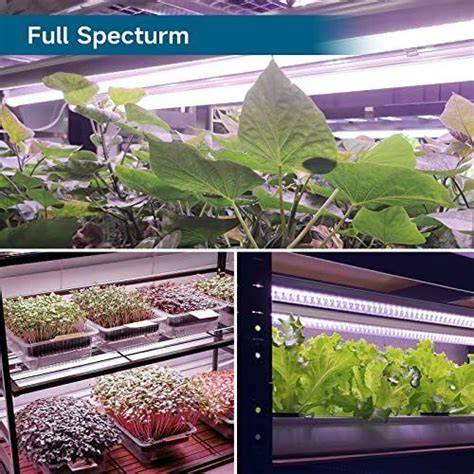 LED Grow Light 168W 4 X 42W 1000W Equivalent Full Spectrum V Shape