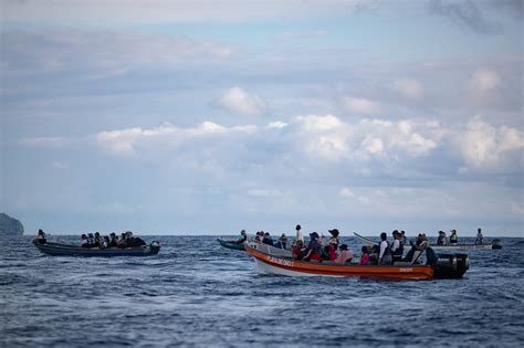 Humpback Whales Draw Thousands Of Visitors To A Small Port On Colombia