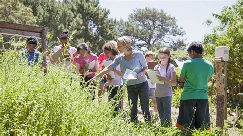 Excursiones Con Ni Os Claves Para Que Todo Vaya Bien School Field