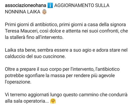 Associazione Ohana I Pelosi Di Chiara On Twitter Aggiornamento