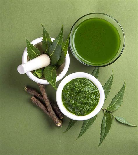 नीम के 17 फायदे उपयोग और नुकसान Amazing Benefits Of Neem In Hindi