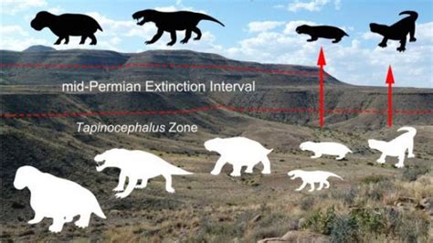 Permian Era Had Two Mass Extinctions Iflscience