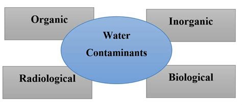 Types Of Water Contamination Download Scientific Diagram