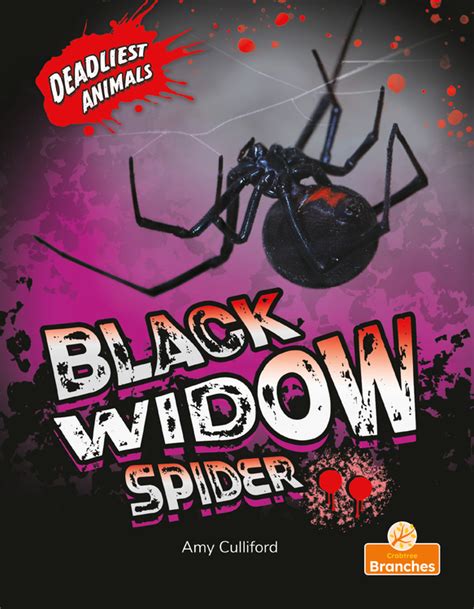 Black Widow Spider Crabtree Publishing