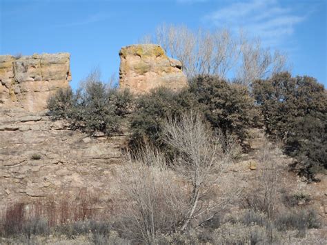 Marpeg Gila National Forest New Mexico