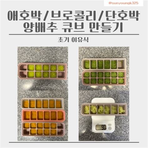 육아 6개월 초기 이유식 2️⃣ 애호박and브로콜리and단호박and양배추 큐브 만들기 네이버 블로그