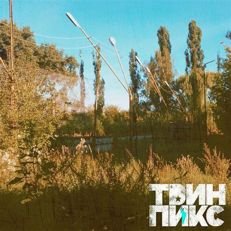 Twin Peaks (Твин Пикс) - Songs, Events and Music Stats | Viberate.com