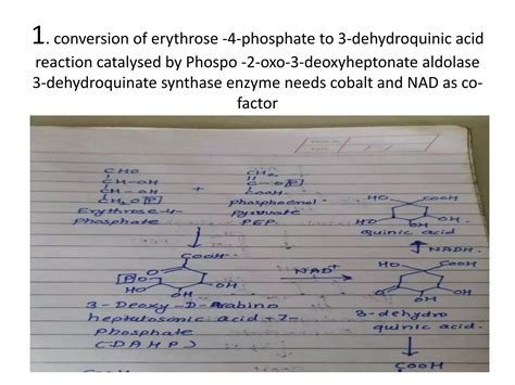 Biosynthetic Pathways Of Secondary Metabolites Ppt