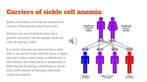 Sickle Cell Anemia Biology Youtube