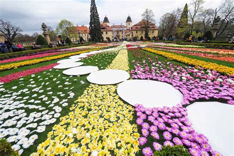 Festiwal Kwiat W W Zamku Ksi W Ho Dzie Dla Ksi Nej Daisy Tylko Na