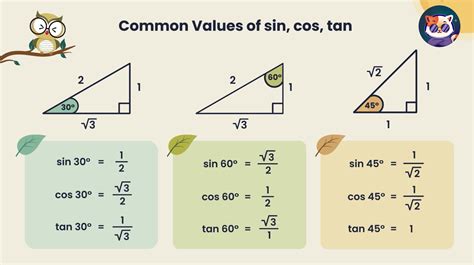 Sine, Cosine, Tangent - Middle and High School Math