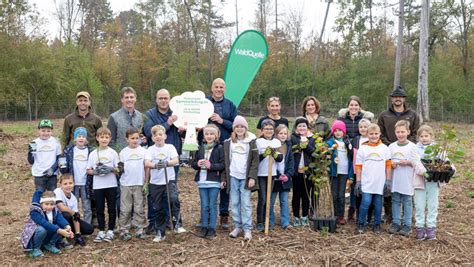 Waldquelle und PENNY pflanzen 300 neue Bäume in Wr Neustadt