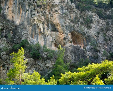 Antalya Goynuk Canyon Beautiful Mountain With Trees In National