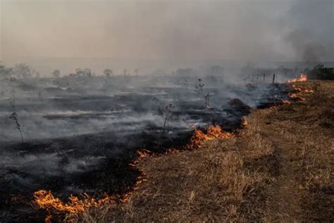 O que explica recorde de incêndios no Pantanal BBC News Brasil