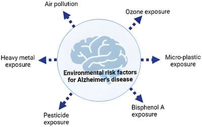 Frontiers Alzheimers Disease The Role Of Extrinsic Factors In Its