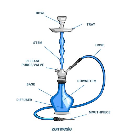 How To Set Up A Shisha Zamnesia UK