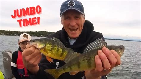 Jumbo Perch Fishing First Trip Of The Fall Season Youtube