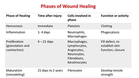 Basic Principles Involved In Wound Healing Pharmacareers