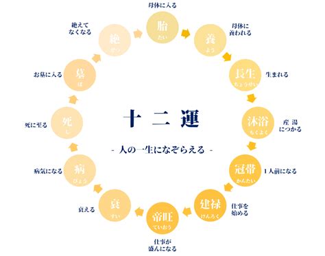 十二運（じゅうにうん） 自分の性格を知ろう！（四柱推命占い師 結斗） 四柱推命 占い師 結斗｜企業・経営者鑑定の専門｜uranai