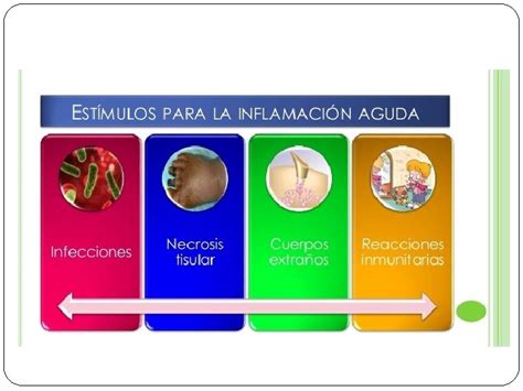 INFLAMACIN Trabajos Prcticos De Fisiopatologa Carrera De Farmacia