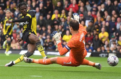 Match Report Watford Qpr Watford Fc