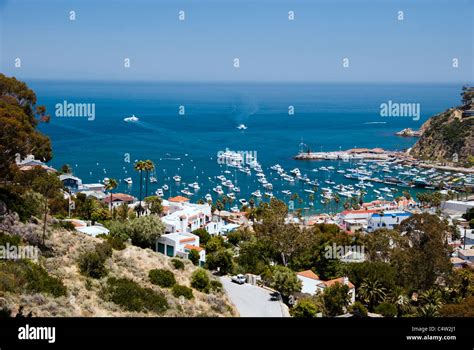 The Catalina Island Harbor Stock Photo Alamy