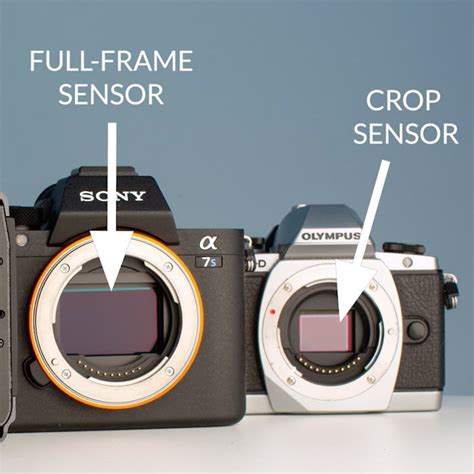 Crop Sensor vs Full Frame Photography | Visual Education