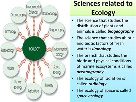 Introduction to Ecology Ecological factors презентация онлайн