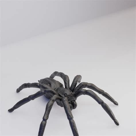 Hot Goblin 巨大狼蜘蛛