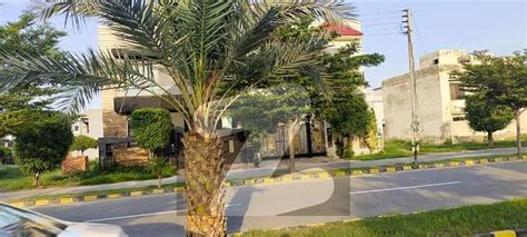 Marla Hot Location Plot Available For Sale In Dha Rahber Sector